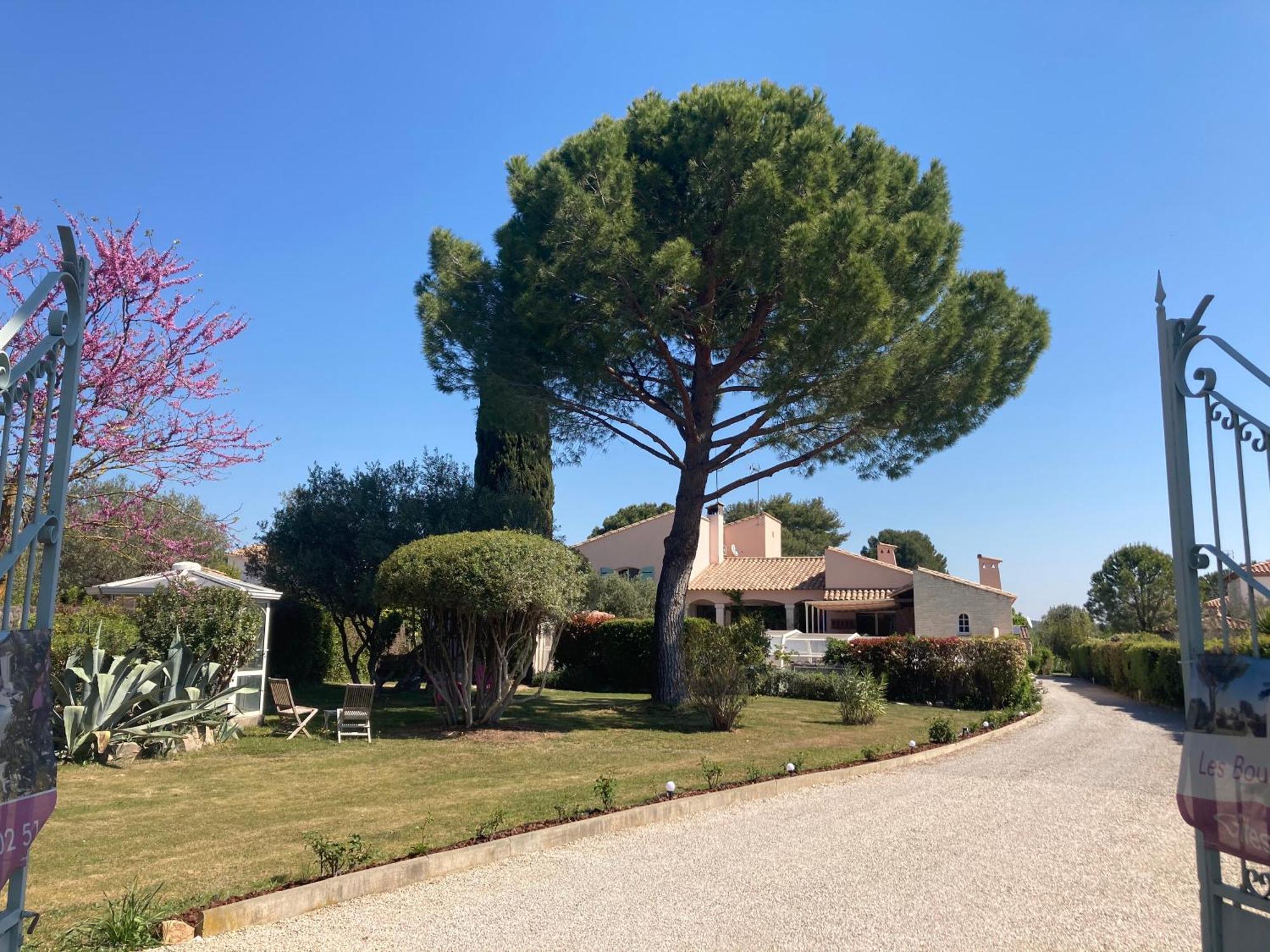 Les Bougainvillees De Camargue Villetelle Εξωτερικό φωτογραφία
