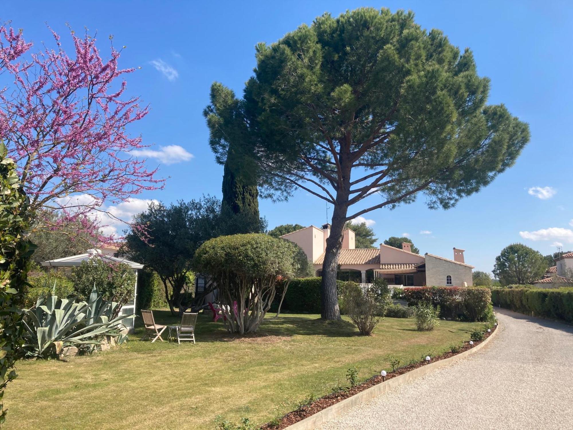 Les Bougainvillees De Camargue Villetelle Εξωτερικό φωτογραφία